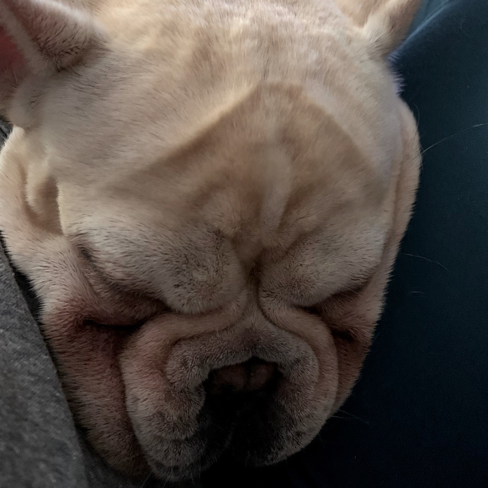 Meet your Posher, Margaret